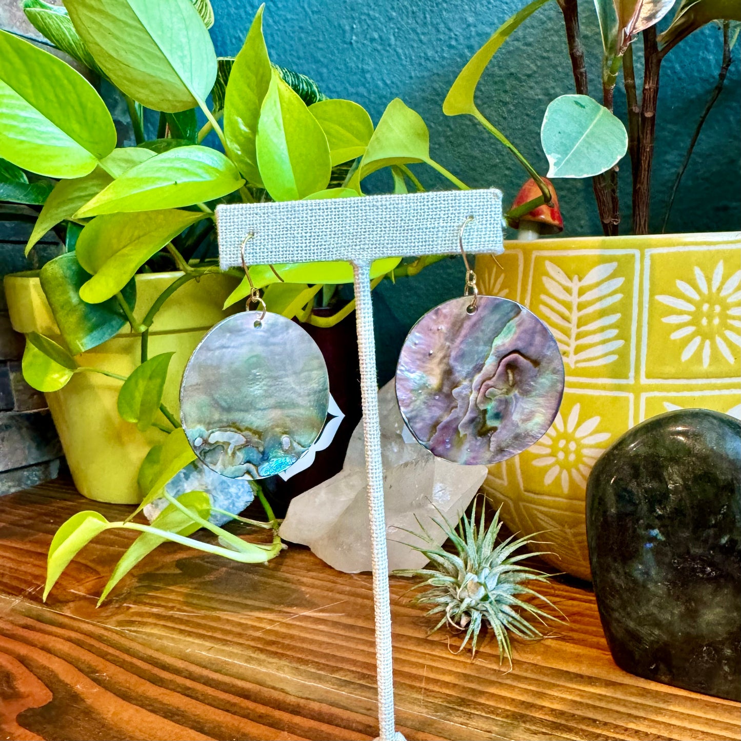 Abalone Shell Disk Earrings