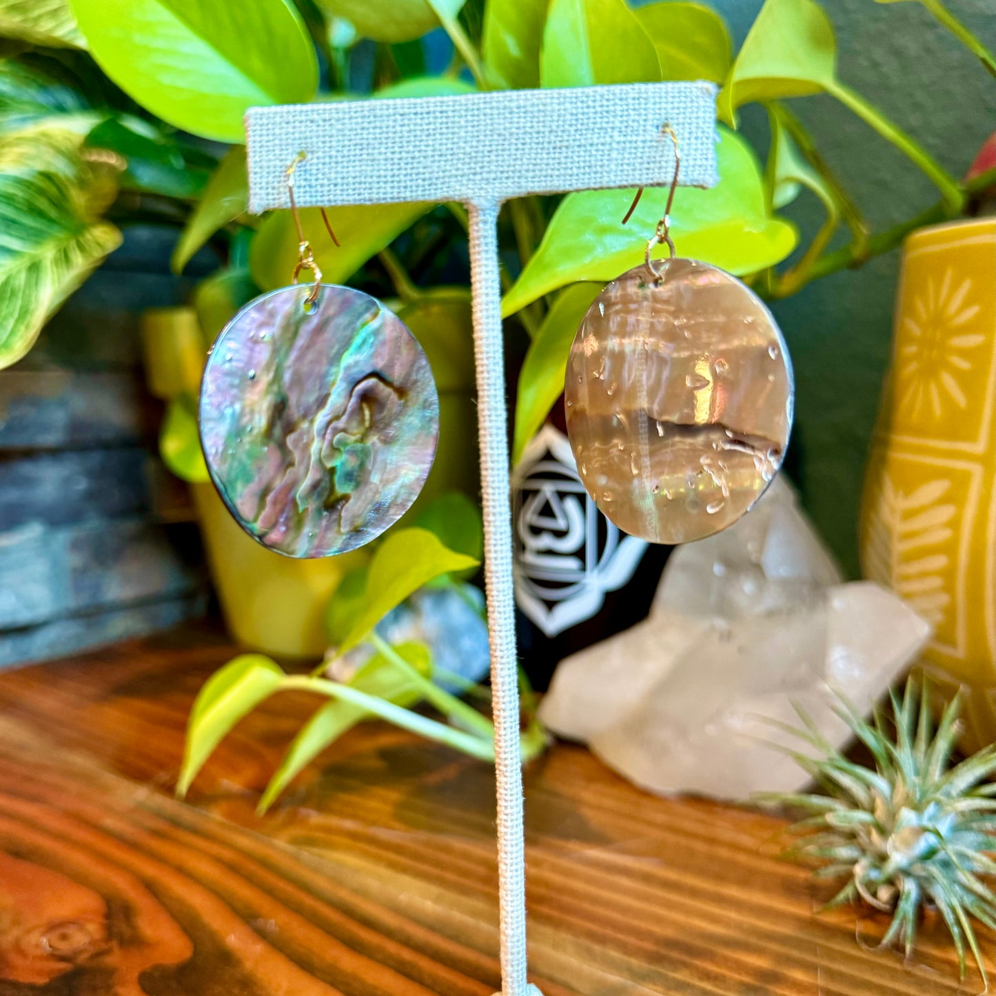 Abalone Shell Disk Earrings